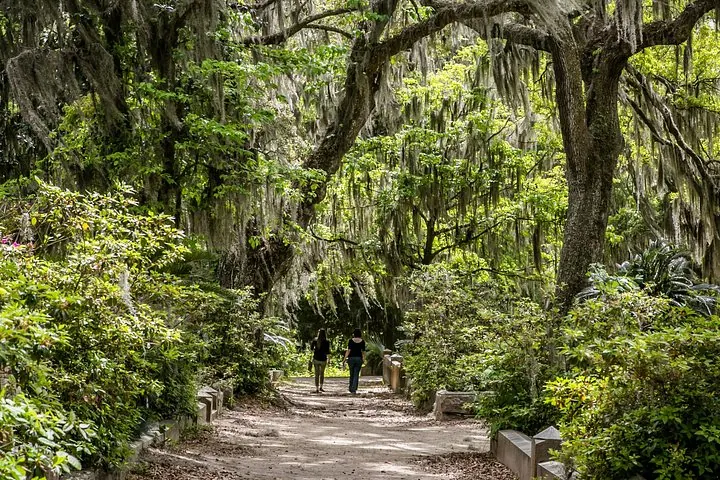 Deux personnes marchent sur un sentier bordé d'une végétation luxuriante et d'arbres.
